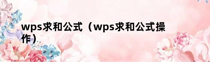 wps求和公式（wps求和公式操作）