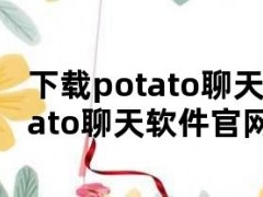 下载potato聊天软件（potato聊天软件官网最新版本）