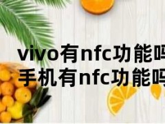 vivo有nfc功能吗（vivo手机有nfc功能吗）