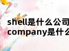 shell是什么公司（shellcompany是什么意思啊）