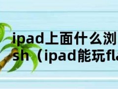 ipad上面什么浏览器可以flash（ipad能玩flash页游浏览器）